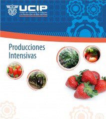 Producciones Intensivas de UCIP participará de la Segunda Expo Sierra en la Plaza del Agua