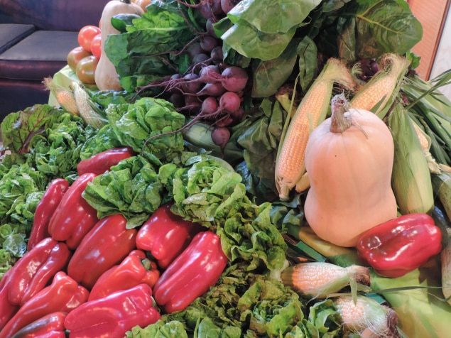 La Comisión de Producciones Intensivas en «Estilo Jardín»