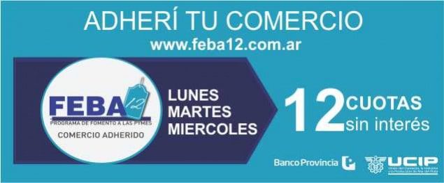 FEBA 12
