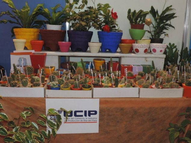 Emprendedores acompañan la Feria del Libro Infantil y Juvenil