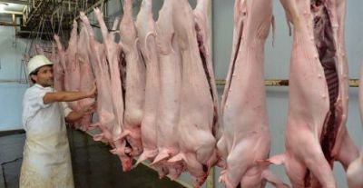 Según el USDA, la producción de carne de cerdo en Argentina crecerá un 32% en 7 años
