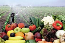 Se incorporan al Código Alimentario Argentino las Buenas Prácticas Agrícolas en Frutihorticultura