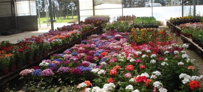 La Provincia brinda asistencia financiera a pequeños productores agroindustriales