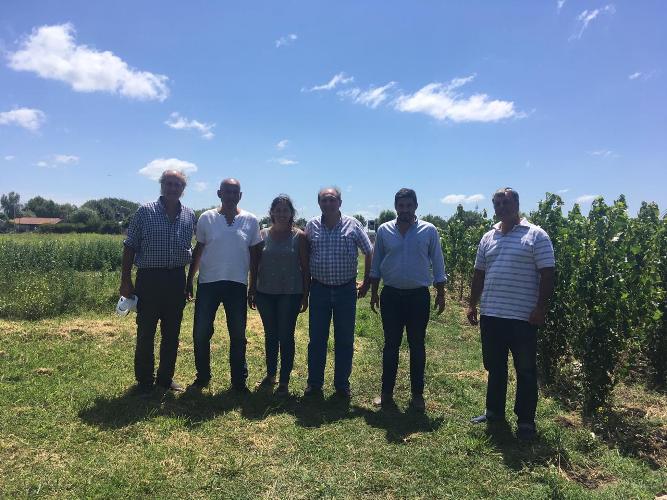 Nueva reunión de la Mesa Hortícola bonaerense