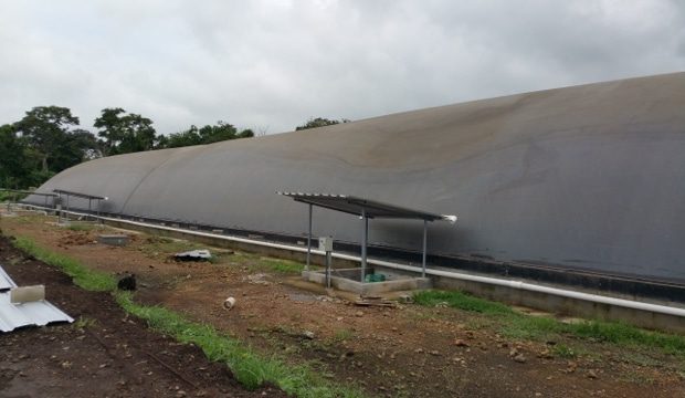 La instalación de biodigestor en la producción intensiva avícola