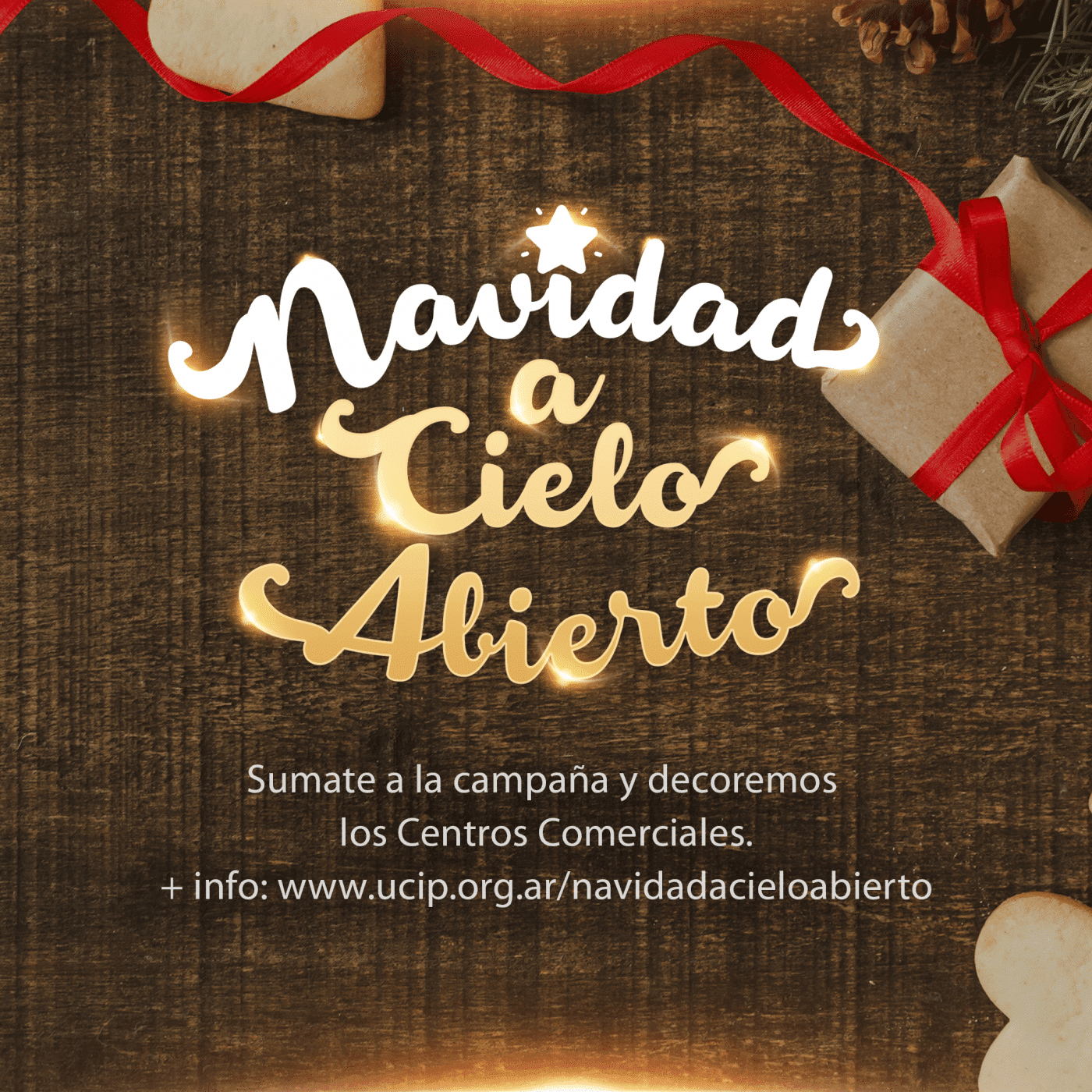 Actividades navideñas en los Centros Comerciales a Cielo Abierto