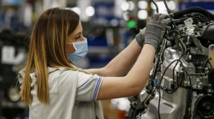 Programa Repro II: modificaciones, adaptaciones y aclaraciones al proceso de implementación