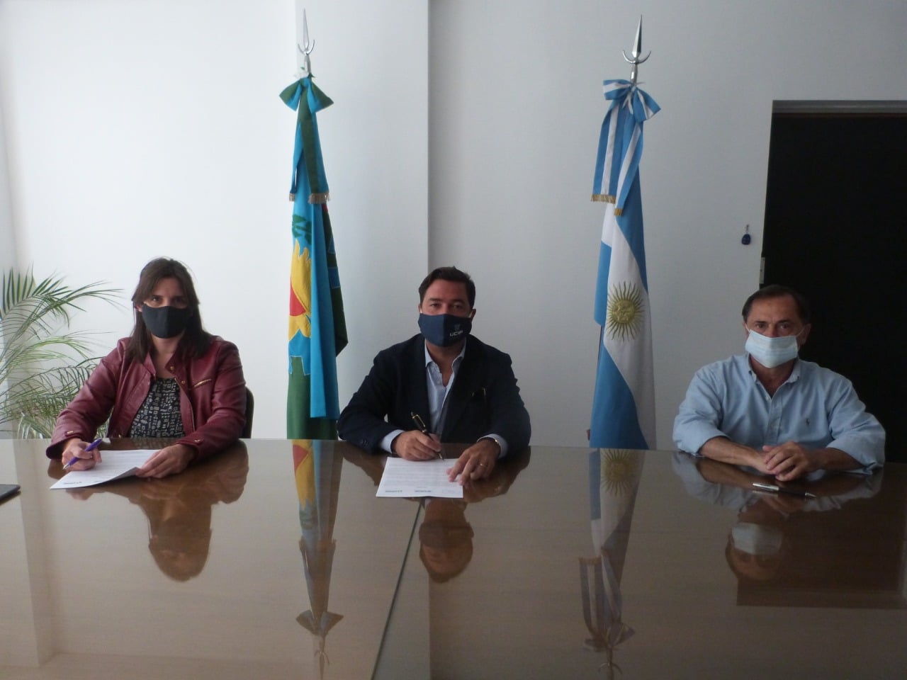 Bonificación especial a los socios de UCIP para Consultoría en “Seguridad  y Salud Ocupacional en el Ámbito Agrario”
