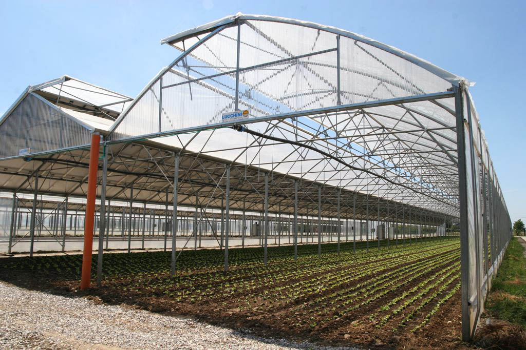 Taller sobre seguro hortícola y florícola bajo cubierta