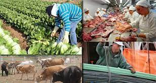La economía creció 0,6% en abril