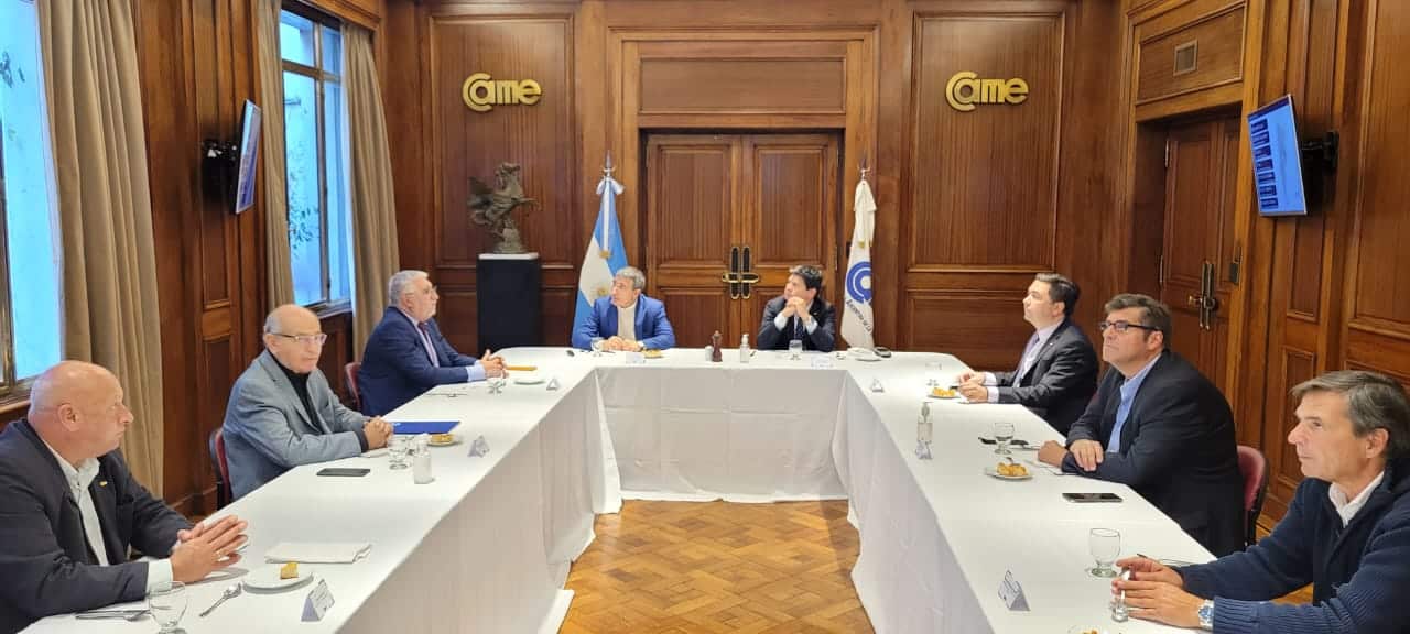 UCIP abogó por más servicios de AA para Mar del Plata