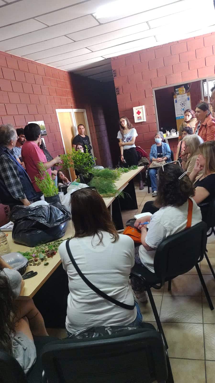 Continúa el curso de plantas ornamentales