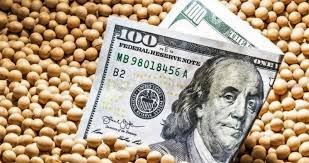 Dólar a $ 300 para las Economías Regionales que adhieran al Programa de Incremento Exportador