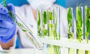 Promoción de la biotecnología moderna y nanotecnología