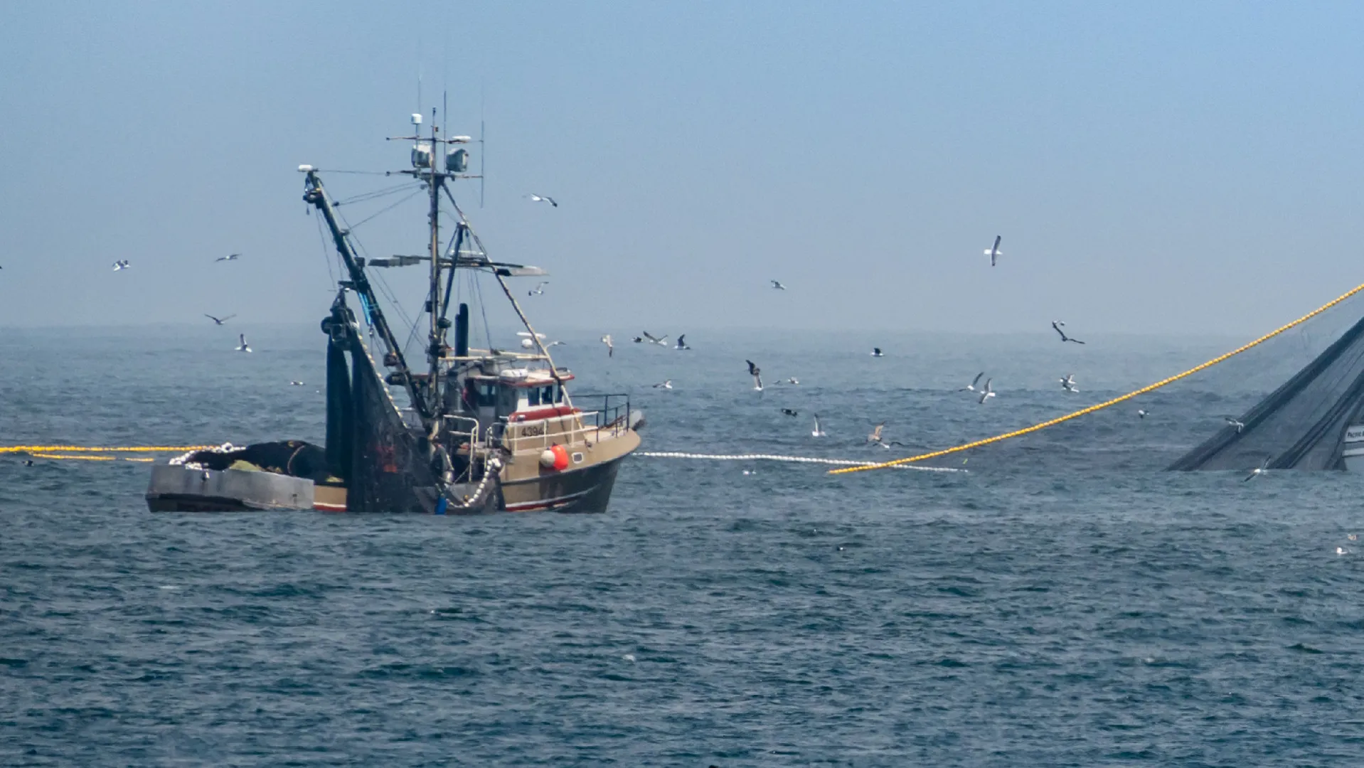 Fuerte rechazo de la UCIP a la reforma de la Ley de Pesca: Una reforma innecesaria que pone a la ciudad al borde de una de las mayores desocupaciones de su historia.