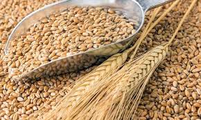 Exportaciones del agro caería por debajo de los US$30.000 millones