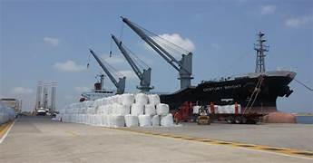 Las exportaciones de las economías regionales alcanzaron los USD 8.941 millones