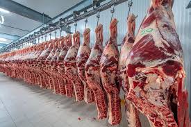 Exportación de carne a EEUU